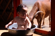 Babys: Bayar (Bayandchadmani, Mongolei)