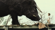 Beasts of the Southern Wild (Copyright Ben Richardson / MFA+ FilmDistribution)