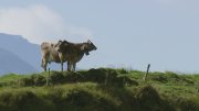 Die Alpen - Unsere Berge von oben