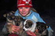Die Familie mit den Schlittenhunden