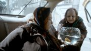 Taxi Teheran: Zwei Damen und ein Goldfisch