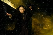 The Grandmaster: Zhang Ziyi